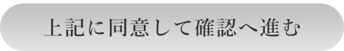 上記に同意して確認へ進む